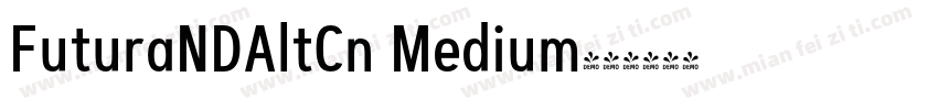 FuturaNDAltCn Medium字体转换